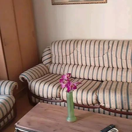 Centar Two-bedroom Apartment Aleksinac