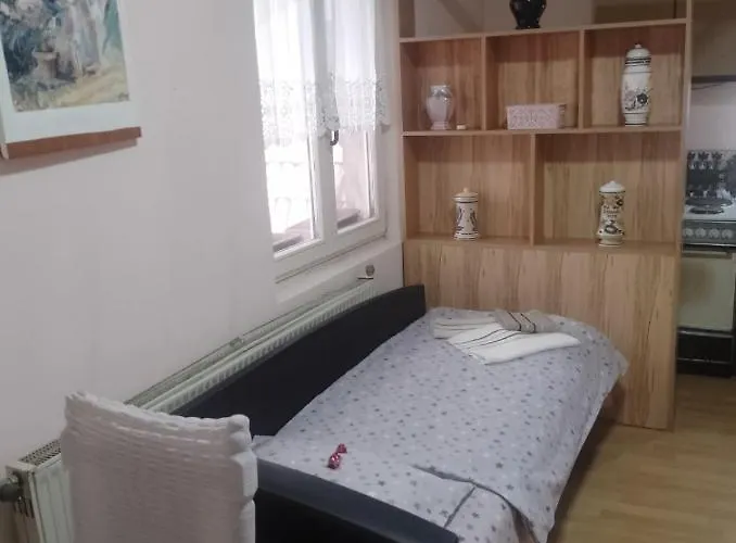 Centar Two-bedroom * Aleksinac